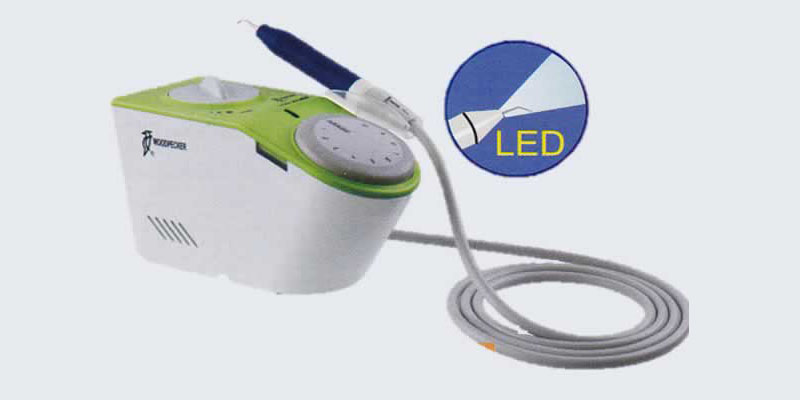 Ultrasonic scaler led woodpecker